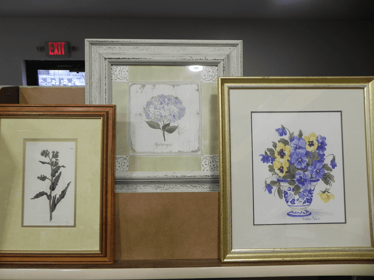 Traditional Botanical Illustration /  Shabby Chic Hydrangea Print / Signed Pansy & Viola Watercolor-