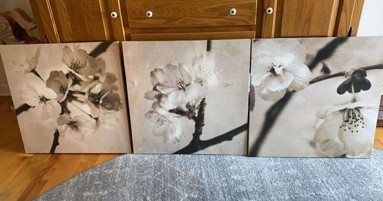 Set/3 Canvas Wall Art