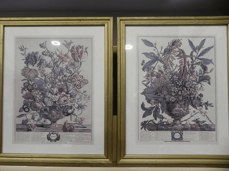 "January" / "April" "Twelve Months of Flowers"