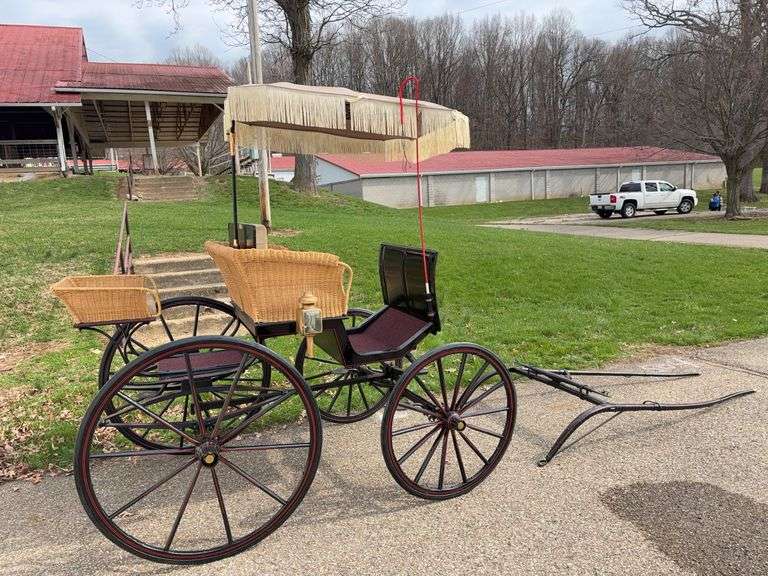 Dandy Restored Surrey
