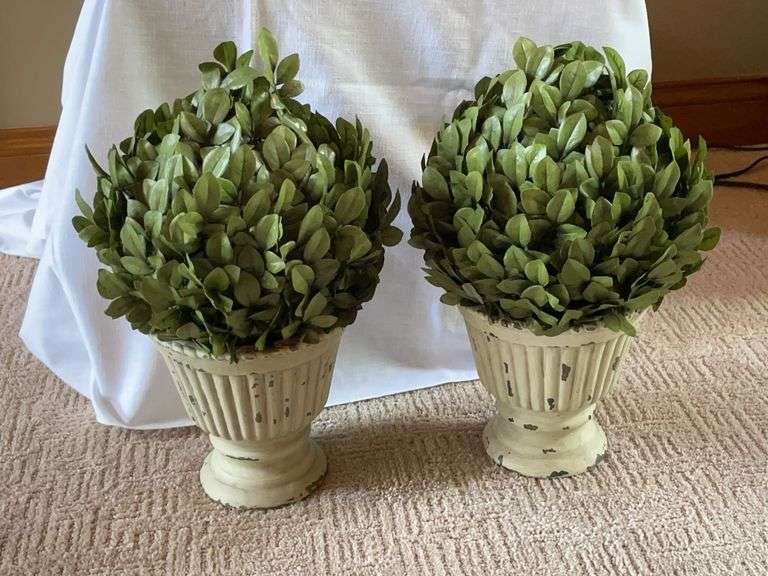Decorative Greenery