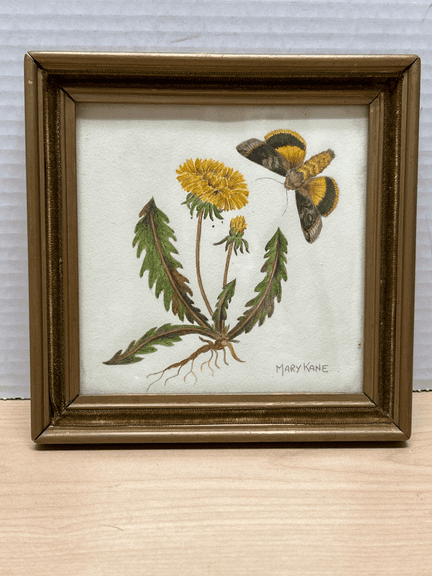Mary Kane Original Framed Botanical Art – Dandelion & Broad-Bordered Yellow Underwing Moth