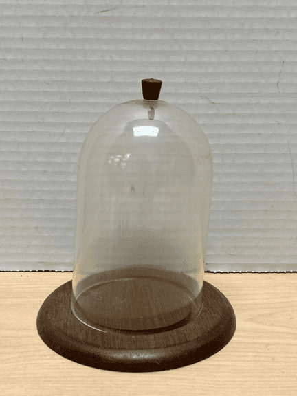 Vintage Glass Cloche Dome with Wooden Base – Small Display Cover Bell Jar 5-1/4"