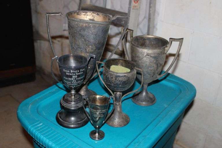 Trophy Cups
