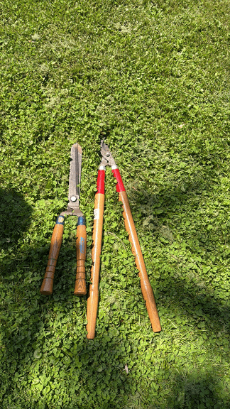 Garden Pruning Shears Set
