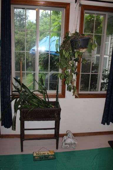 Plant Stand & Décor