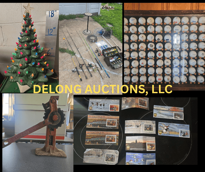 Moving Auction !  Large Lots !!! 