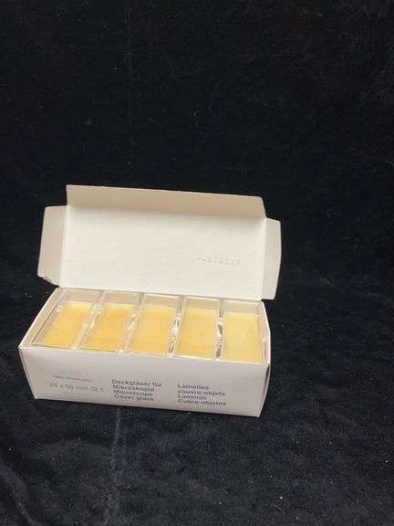 10 plastic Packs Deckgläser Microscope Cover Glasses 24 x 50 mm for Laboratory Use