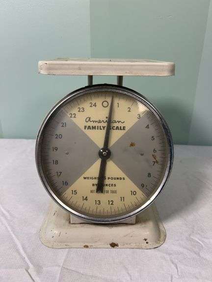 American Family Scale