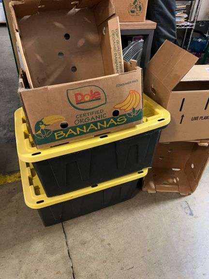 Heavy-Duty Plastic Storage Totes and Assorted Cardboard Boxes Including Dole Banana and Live Plant B