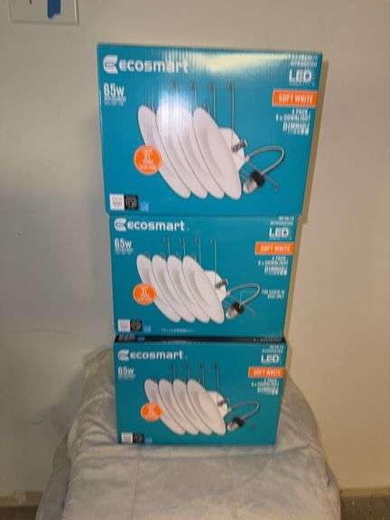 Ecosmart led lights
