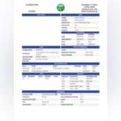 Thumbnail image of Auditor Tax Card