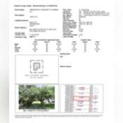 Thumbnail image of Auditor Tax Card