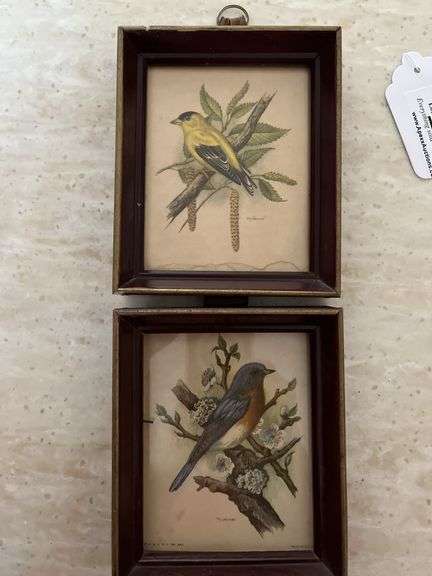 Vintage Prints of Birds by P. H. Gonner. Framed
