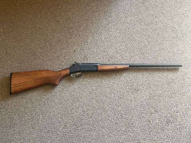 Harrington and Richardson Pardner .410