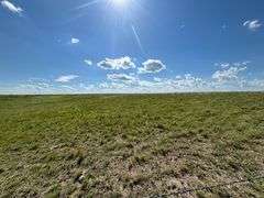 421.96±AC Tract in Hemphill County