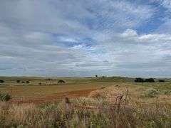 320±ACRES in Hollis, OK