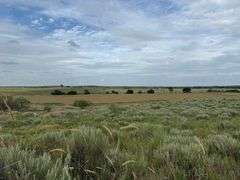320±ACRES in Hollis, OK