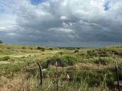 320±ACRES in Hollis, OK