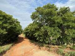 320±ACRES in Hollis, OK