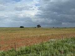 320±ACRES in Hollis, OK