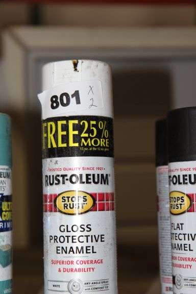 EXT MSRP: $24.78] Rust-Oleum 15-oz White Gloss Spray Paint - Auction ...