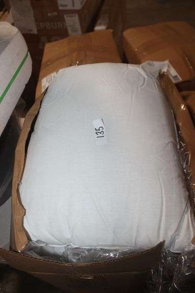 Canterfield collection cotton bay Bed pillows white