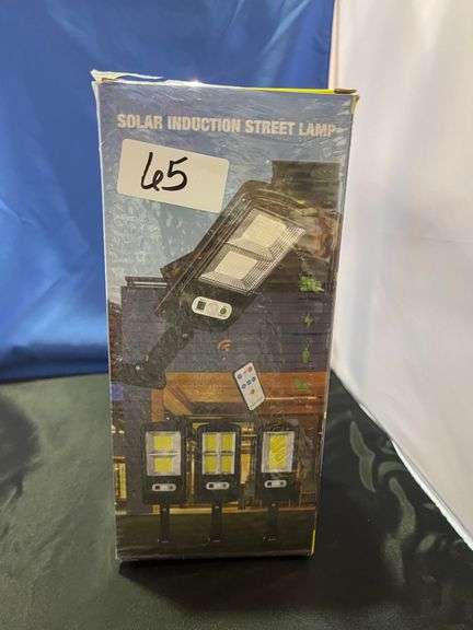 SOLAR INDUCTION STREET LAMP
