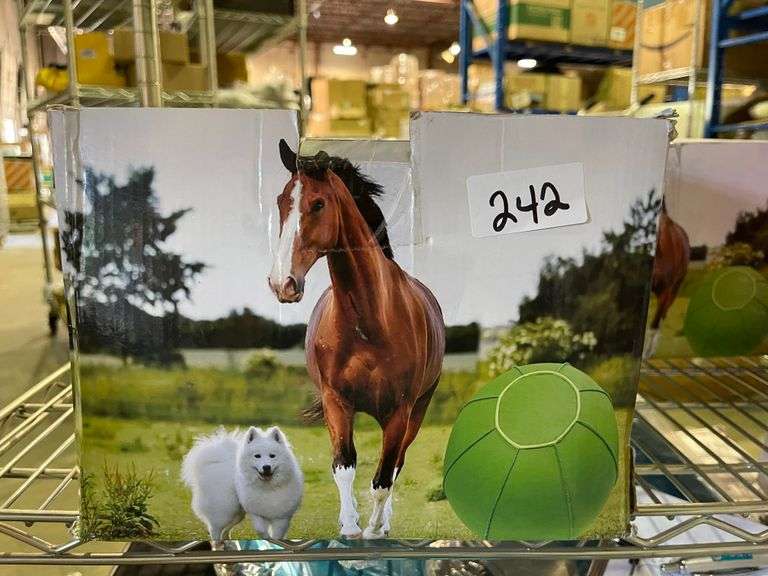 HEARDING BALL FOR DOGS