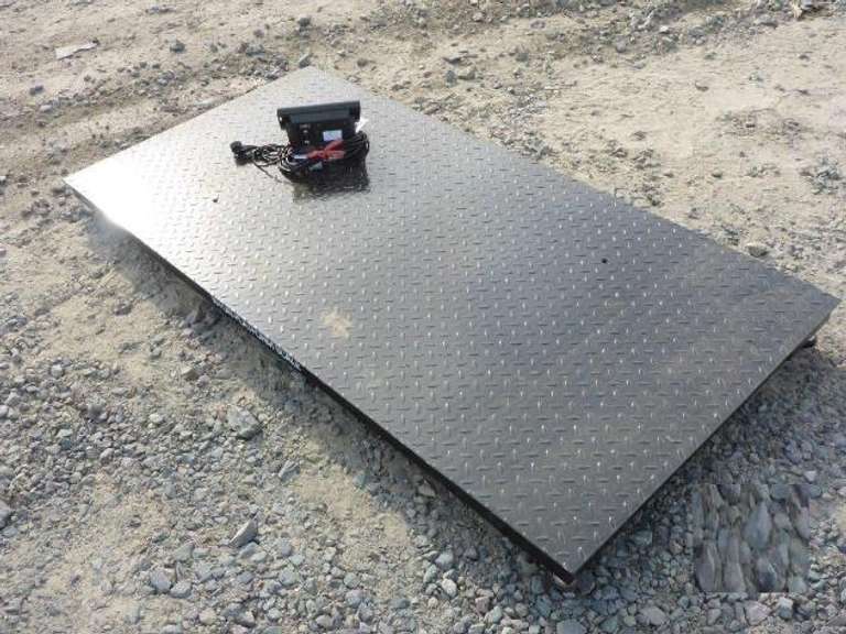 10 Ton Platform Scale