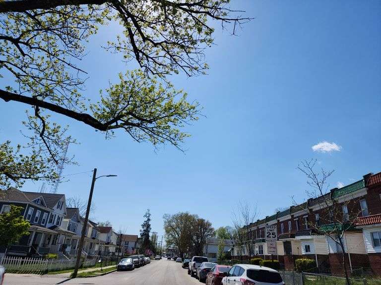3819 Hayward Ave. Baltimore, MD 21215