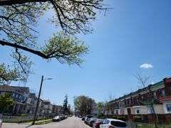 3819 Hayward Ave. Baltimore, MD 21215