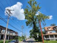 4648 Pimlico Road. Baltimore, MD 21215