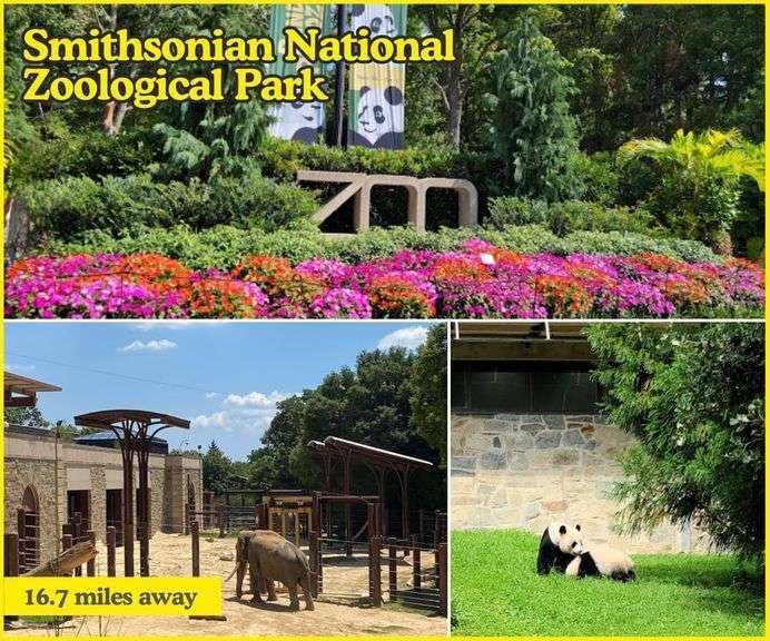 13 Parcels on Rinard Ave. Beltsville, MD 20705 Ashland Auction Group