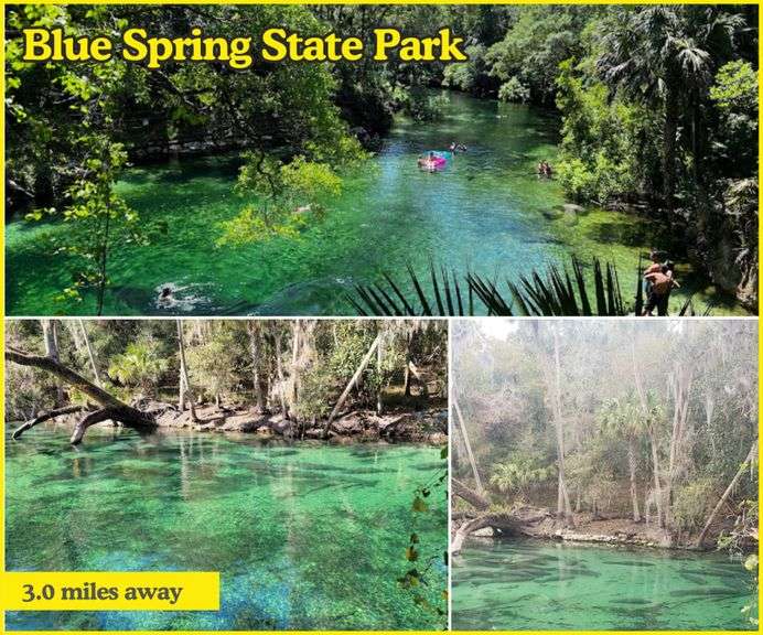 Parcel on Riegel Ave. Orange City, FL 32763