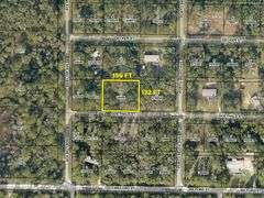 Parcel on Goethals St. Webster, FL 33597