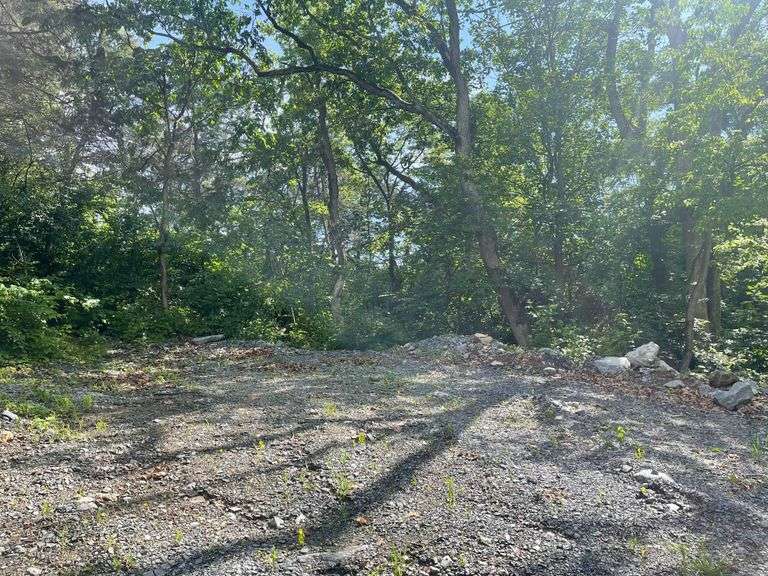 Parcel in Front Royal, VA 22630 (Tax Map #20E 1 19)