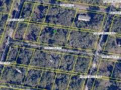 Parcel on Goethals St. Webster, FL 33597