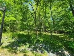 9665 Tara Dr. Dunkirk, MD 20754