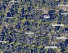 Parcel on Goethals St. Webster, FL 33597