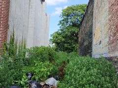 2544 Harford Rd. Baltimore, MD 21218