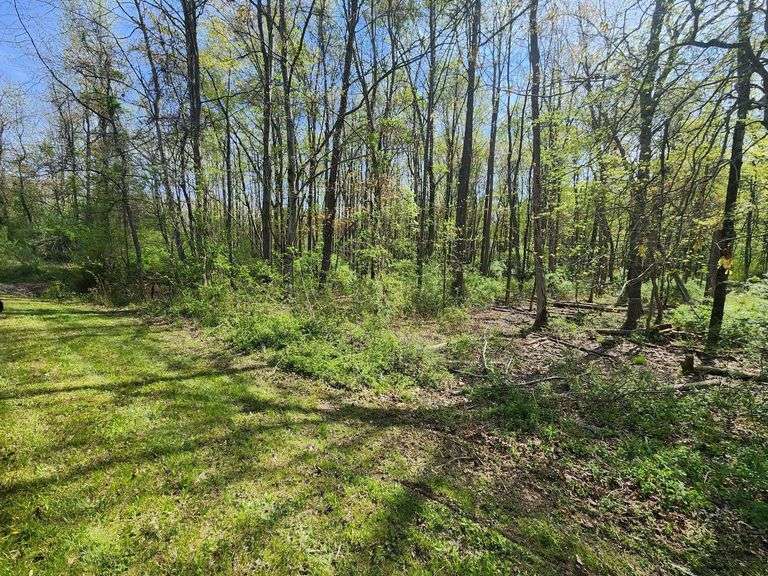 Parcel on Fish Hatchery Road. Chestertown, MD 21620 (Tax ID: #15-06-014496)