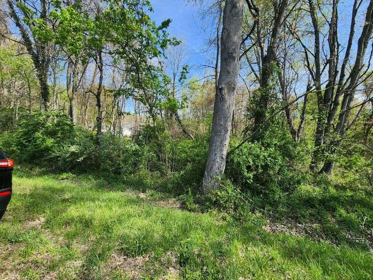 Parcel on Towhee Road. Chestertown, MD 21620 (Tax ID: 1506008569)