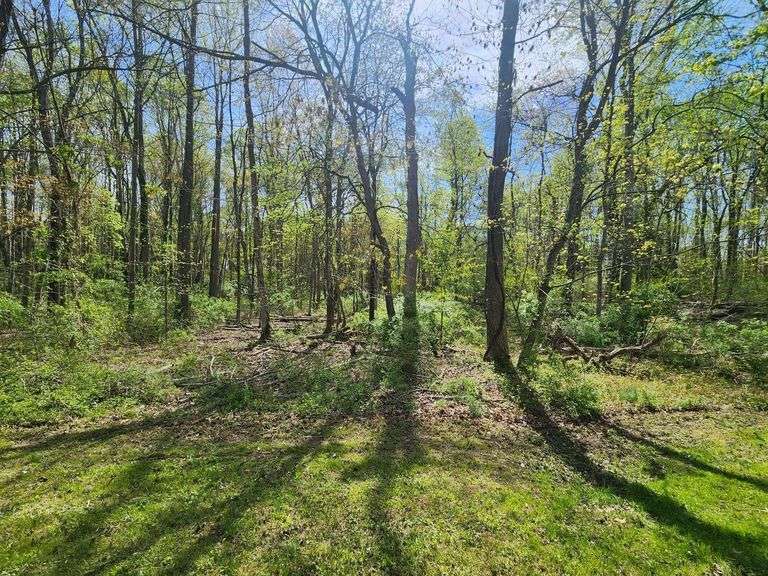 Parcel on Fish Hatchery Road. Chestertown, MD 21620 (Tax ID: #15-06-014496)