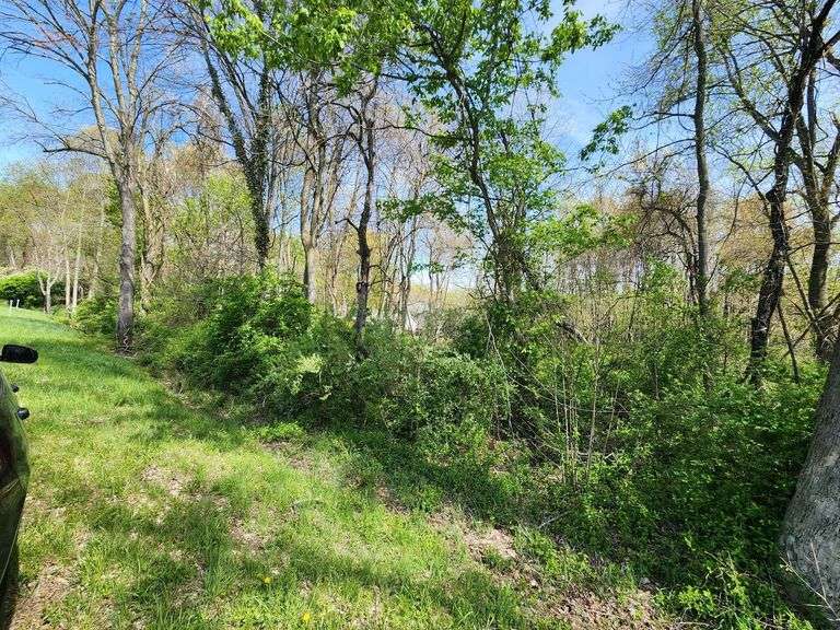 Parcel on Towhee Road. Chestertown, MD 21620 (Tax ID: 1506008569)