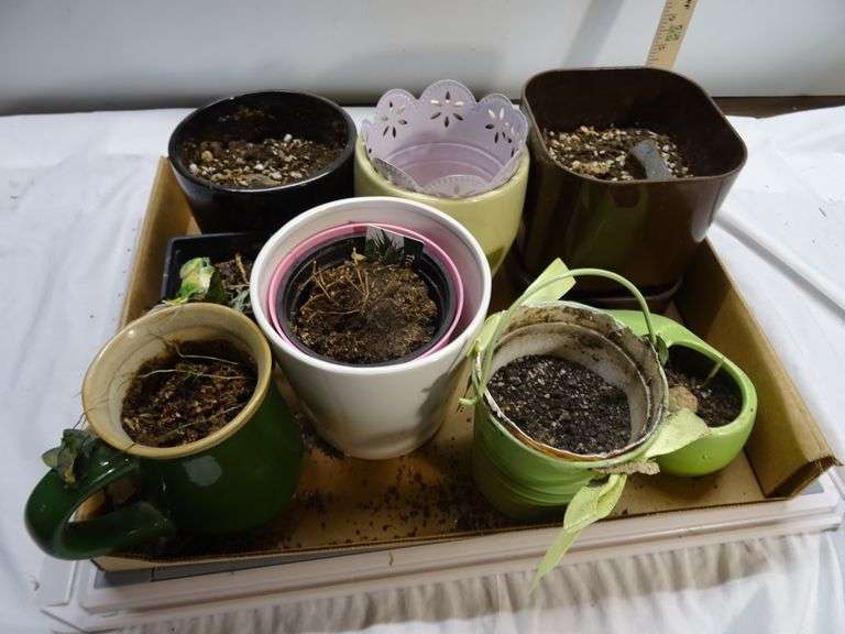 Decorative Flowerpots