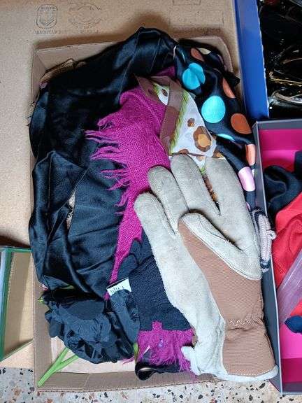 Women's Scarves and Gloves