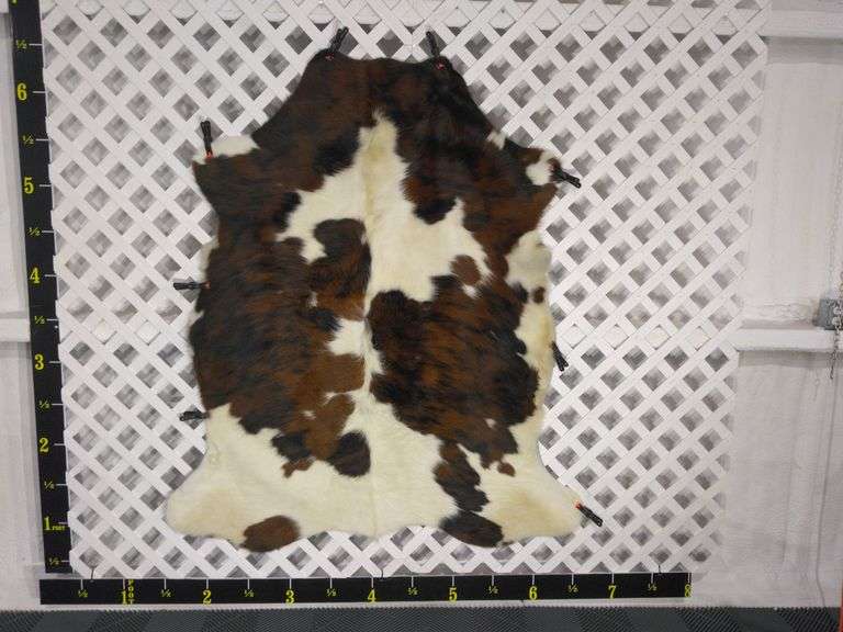 Small Chocolate & White Cowhide