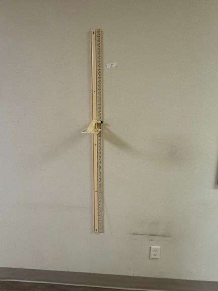 Wall mounted stadiometer
