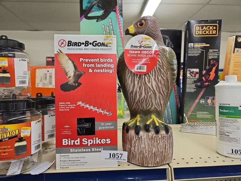 Bird BGone Spikes 7 Hawk Decoy 16" Assiter Auctioneers